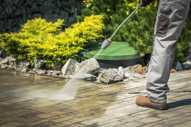 Best Sidewalk and Walkway Pressure Cleaning in Fox Lake, WI